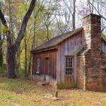 Fall Cleanup Revolution: Say Goodbye to Painful Raking A rustic wooden cabin with a stone chimney surrounded by autumn trees