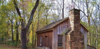 A rustic wooden cabin with a stone chimney surrounded by autumn trees
