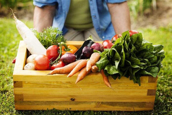 A wooden crate filled with various fresh vegetables in a garden