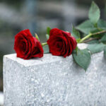 Red roses on a gray stone surface