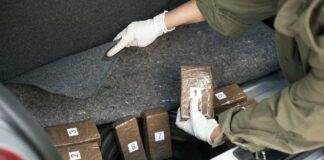 Law enforcement officer inspecting packages in a car trunk