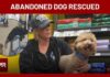 Dog abandoned at Las Vegas airport finds new home at rescue