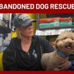 Dog abandoned at Las Vegas airport finds new home at rescue