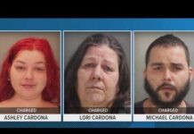 Three members of York County family charged for