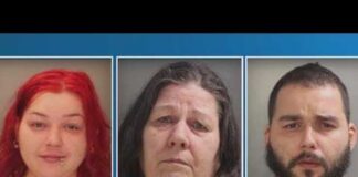 Three members of York County family charged for