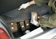 Person discovering wrapped packages in a car trunk.