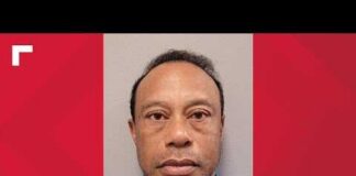 Tiger Woods' rollover crash is golfer's 4th high-profile car