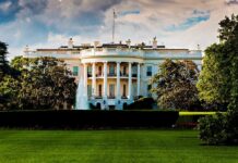 The White House surrounded by greenery and a fountain in the foreground