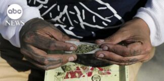 Cannabis legalization debate shifts as federal reclassification