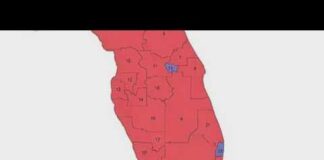 DeSantis reveals new Florida congressional map image