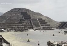 Gunman shoots several tourists at historic pyramids in