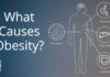 Obesity: Causes, Health Conditions, and Treatment | Mass