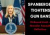 Virginia Gun Grab Worsens: Spanberger's Substitutes