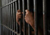 Hands gripping jail cell bars.