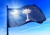 Murdaugh Convictions OVERTHROWN: New Trial Looms South Carolina state flag waving against a blue sky