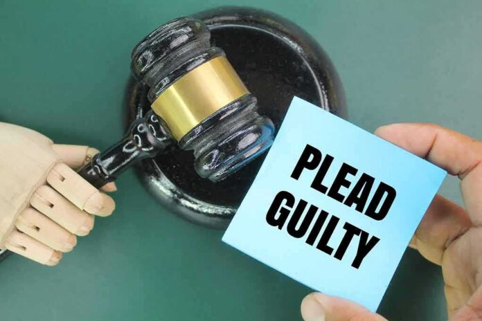 shutterstock_2401329817-3- A wooden gavel next to a hand holding a blue card that says 'PLEAD GUILTY'