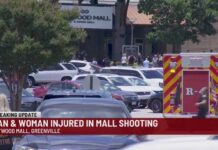 Mall Chaos Erupts — Teen Pulls Trigger Two injured, teen arrested in shooting at Haywood Mall