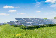 Foreign-Tied Wind, Solar Face Ban Solar panels in a grassy field under blue sky.