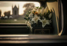Lindsey Graham Seat Up For Grabs—Fast White flowers in a car with blurred background.