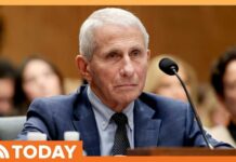 Anthony Fauci Invokes Fifth Amendment at Heated Senate Hearing