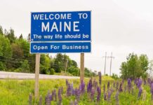 Welcome to Maine roadside sign with wildflowers