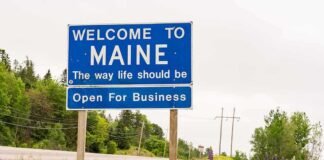Welcome to Maine roadside sign with wildflowers