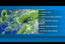 Louisiana Beaches: Flesh-Eating Alert 5 deaths in Louisiana linked to warm-water bacterial infection