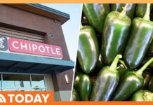 Jalapeño Bombshell Hits Chipotle, Qdoba Officials Probe Salmonella Outbreak Tied to Jalapeños at Chipotle