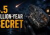Space Rock Slams Home, Stuns Scientists A Meteorite Fell in New Jersey With a 4 5 Billion Year Old Secret