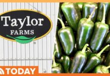 Taylor Farms Pulls Jalapeño Products Following Lettuce Recall
