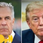 50% Shock Tariffs—Three-Day Reprieve Canada, U.S. continue talks after Trump pauses threatened 50% tariffs