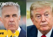 Canada, U.S. continue talks after Trump pauses threatened 50% tariffs