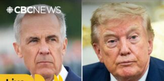 Canada, U.S. continue talks after Trump pauses threatened 50% tariffs