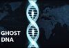 Hidden Ancestors Rewrite Human Map The Ghost Populations Hidden Inside Modern Human DNA