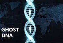The Ghost Populations Hidden Inside Modern Human DNA