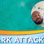 Florida Man Recalls Terrifying 7-Foot Nurse Shark Bite Near Key West