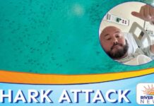 Shark Bite Chaos Near Key West Florida Man Recalls Terrifying 7-Foot Nurse Shark Bite Near Key West