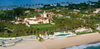 Aerial view of a beachfront estate with pool and palm trees