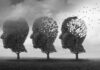 Three trees shaped like human heads losing leaves
