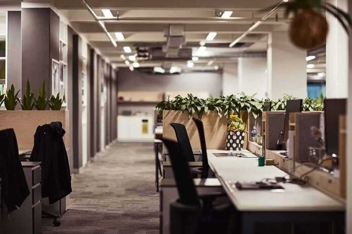 Open-plan office with empty desks and plants along partitions
