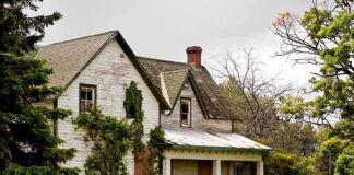 An abandoned house surrounded by overgrown grass and trees