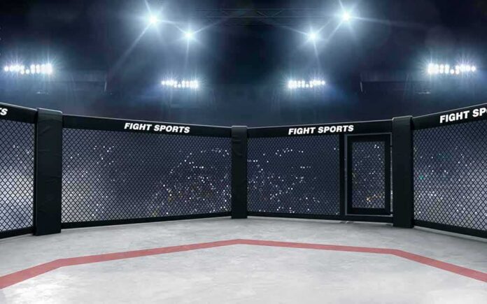 Empty MMA octagon under bright arena lights